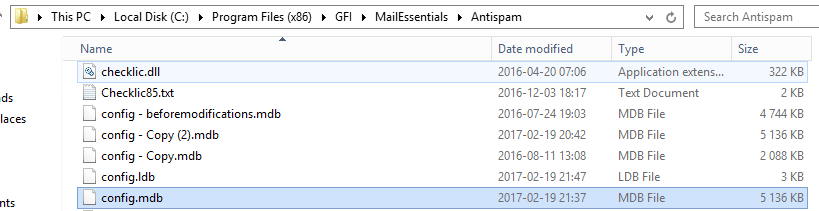 Microsoft Access opening the GFI config.mdb file