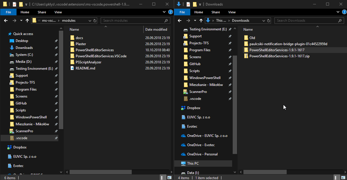 Animated Windows 10 example showing files copied from a ZIP archive overwriting existing files without the usual replace prompt.