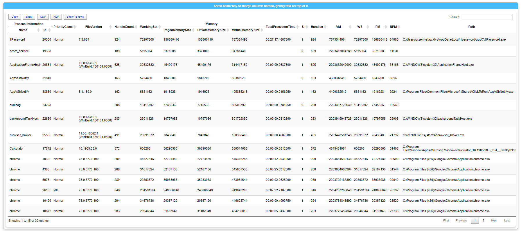 Process table with merged Process Information and Memory headers