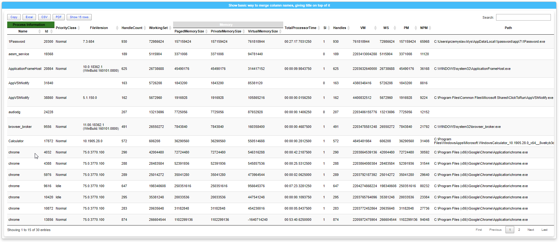 Process table with colored merged headers for Process Information and Memory