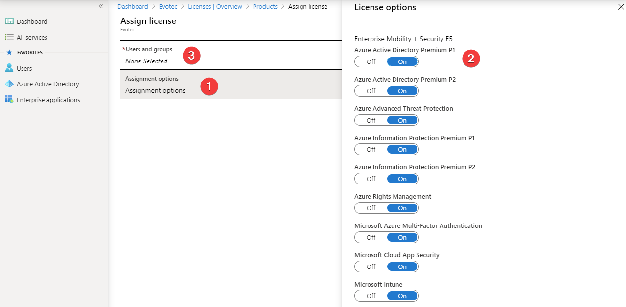 Azure AD assignment options screen for enabling only the required license apps